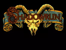 Image n° 7 - titles : Shadow Run